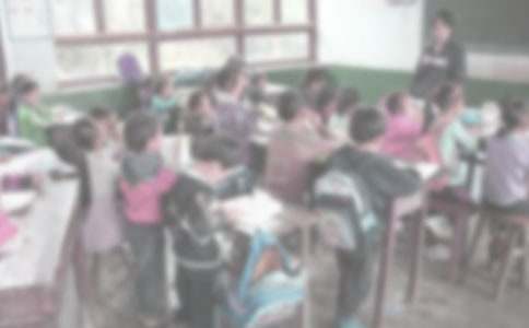 Сѧ֧��ʵ���ܽ�(9ƪ)