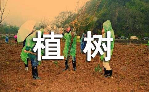 植树问题说课稿8篇