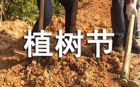 ����ֲ���ڳ����鷶�Ľ���ʮƪ