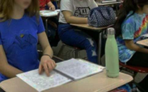 中学生心理工作总结