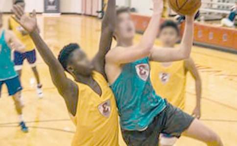 ��ѧ�����ʵ������12ƪ