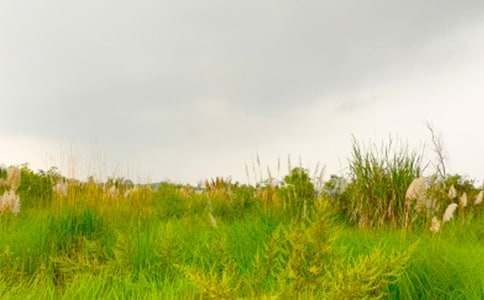 ���߽���г�Ĵ��졷�����6ƪ