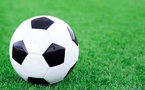 ����Э��������