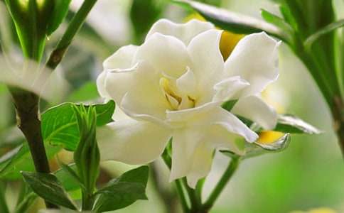 �������ӻ��㡷�и�3ƪ