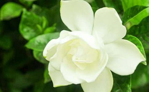 �����ӻ������ۺ��