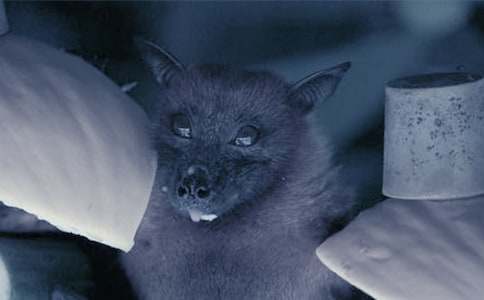 ��������״�κ�Ľ�ѧ��˼����ѡ8ƪ��