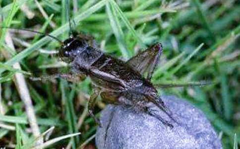 �����סլ����ѧ��˼(���15ƪ)