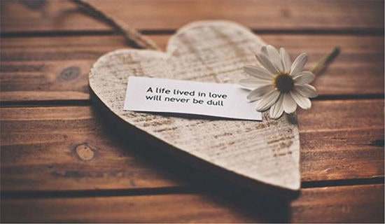 �����ҳϱ�֤��