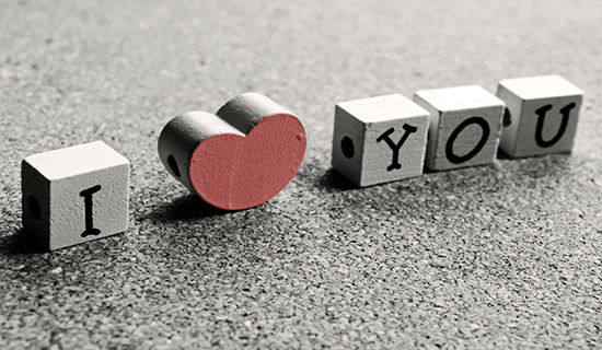 ���鱣֤�鼯��15ƪ