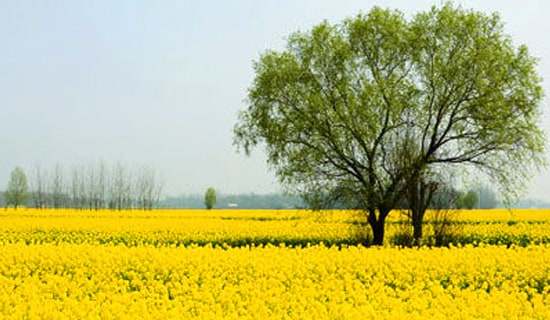 ѧ�����ν�����